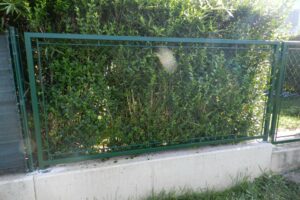 Grüner Eisenzaun auf einer Betonmauer